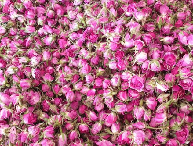 غنچه گل محمدی (بسته بندی 75 گرمی)